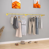 Industrial Pipe Clothes Hanging Rack: Wall Mounted Iron Clothing Storage