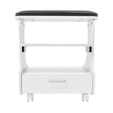 Foot Bath Stool Foot Rest Pedicure Manicure Funiture Trolley Footbath