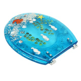Resin Toilet Seat Load Capacity 100kg/220lbs, 36*45cm Blue Toilet Seat w/ Cover
