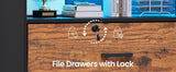 59" File Cabinet, 2 Drawers Filing Cabinets for Home Office fit Legal/Letter