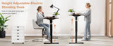 JHK 63x24 Inch Electric Standing Desk Ergonomic Height Adjustable Stand