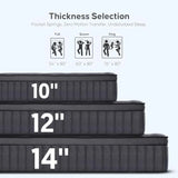 12 Inch King Mattress in a Box, Upgraded Hybrid Pocketed Coil Mattress