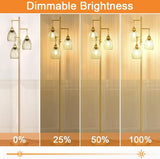 Dimmable Floor Lamp, 70in Tall, 3 Teardrop Cage Heads, 800 Lumens LED Bulbs
