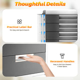 5 Layers Drawer Organizer, Lockable File Holder, Desk Apothecary Cabinet, Aluminum Alloy Storage Box, for Home Office Supplies