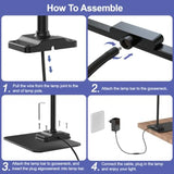 LED Desk Lamp with Base: Bright Desk Lights for Home Office