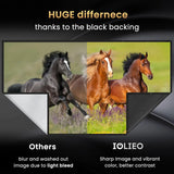 60 inch Projector Screen with Black Backing for Home Theater and Outdoor