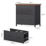 2 Drawer File Cabinet for Home Office 30.7Inch Lateral Office Cabinet for A4 and Letter Size Files Printer