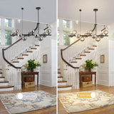 10-Light Matte Black Adjustable Chandelier with Smoked Glass Globe Shades Mid