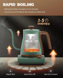 Electric Kettle 1000W Quick Heating Gooseneck, 0.8L 304 Stainless Steel, Auto Shut-Off
