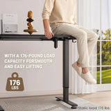 47.2" Electric Standing Desk with Memory Presets, Adjustable Height Computer Table