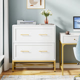 Tribesigns 2 Drawer File Cabinet, Modern Lateral Filing Cabinet for Letter
