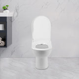 Bidet Toilet Seat for Elongated Toilets, D-Type Shape White PP Material, Durable
