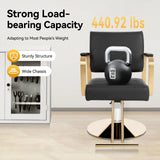 Salon Chair, 360 Degree Swivel, Hydraulic Adjustable Hairdressing Chair, 440lbs Multi-Function Barber