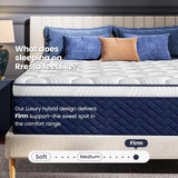Firm Mattress 14 Inch - Hotel Collection Hybrid Mattress with 7-Zone Support