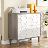 Tribesigns 2-Drawer File Cabinet, Lateral Filing Cabinet for A4/Letter/Legal Size, Office Storage Cabinet