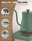 Electric Kettle 1000W Quick Heating Gooseneck, 0.8L 304 Stainless Steel, Auto Shut-Off