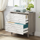 Tribesigns 2-Drawer File Cabinet, Lateral Filing Cabinet for A4/Letter/Legal Size
