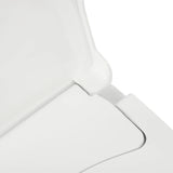 Non-Electric Bidet Toilet Seat Toilet Bidet Lid Fits Elongated Toilets, Dual Nozzle