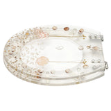 Clear Resin Toilet Seat Stainless Steel Hinged Toilet W/ Dried Flowers Cover 330Lbs