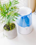 Warm Mist Humidifier & Steam Inhaler, 0.5 Gal, Quiet for Bedroom, Sinus Relief