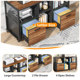 Tribesigns 2 Drawer Wood File Cabinets, Mobile Lateral Filing Cabinet for Letter A4 Size, Printer Stand with Shelves and Drawer