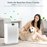 Home air purifier for large rooms up to 2400 sq.ft, H13 HEPA filter