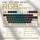 MAMBASNAKE X Attack Shark X87 Wireless Mechanical Keyboard, Hot Swappable