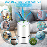 Low Noise Portable Air Purifiers with Night Light,Desktop USB Air Cleaner