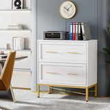 Tribesigns 2 Drawer File Cabinet, Modern Lateral Filing Cabinet for Letter