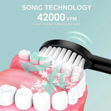 Sonic Electric Toothbrush Adult Smart Timing Tooth Brush Teeth Clean MD DC PRINT