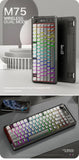 FREEWOLF M75 Wireless Keyboard, Bluetooth Dual-mode, PBT Gradient Ball Cap