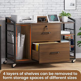 44" File Cabinet, Filing Cabinet fits Legal/Letter Size, 2 Drawer File Cabinets