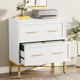 Tribesigns 2 Drawer File Cabinet, Modern Lateral Filing Cabinet for Letter