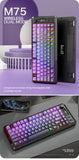 FREEWOLF M75 Wireless Keyboard, Bluetooth Dual-mode, PBT Gradient Ball Cap