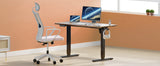 JHK 63x24 Inch Electric Standing Desk Ergonomic Height Adjustable