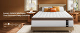 14 Inch Hybrid Mattress with Orthopedic Spinal Support