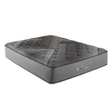 14" Pure Ice Plush Quilted Twin XL Mattress
