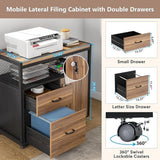 Tribesigns Modern File Cabinet with Drawers for Letter-sized File and Door