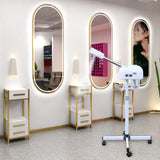 Ozone Facial Steamer Professional Skin Care Equipment for Salon