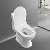 White D-Type PP Non-Electric Bidet Toilet Seat for Elongated