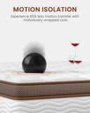 BedStory Queen Mattress 14 Inch - Firm Hybrid Mattress with Orthopedic Spinal Support for Back Pain - 2.0mm Advanced Pocket