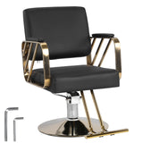 Stylist Chair Capacity 420 Lbs Styling Equipment with Heavy Duty Hydraulic Pump 360 Swivel Adjustable