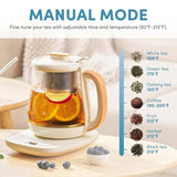 Professional Infusion Glass Electric Tea Kettle with Temperature Control and 10 Preset Modes