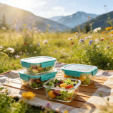 12 Pieces Glass Food Storage Containers Set, Meal Prep Containers