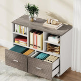 2Drawer Wood File Cabinet Mobile Lateral Filing Cabinet for Hanging Letter Size Files Printer Stand