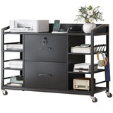 44" File Cabinet, Filing Cabinets fits Legal, Letter, A4 Size, 2 Drawer Office