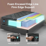 Hybrid Memory Foam Twin Size Mattress, Lumbar Support for Back Pain Relief