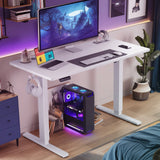 JHK 63x24 Inch Electric Standing Desk Ergonomic Height Adjustable