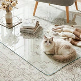 Office Chair Mat for Carpet and Hardwood Upgraded 36" x 48" Dual Use Tempered Glass Chair Mat for Chair