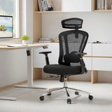 Office Chair Ergonomic Desk Chair, High Back Computer Chair with Wheels